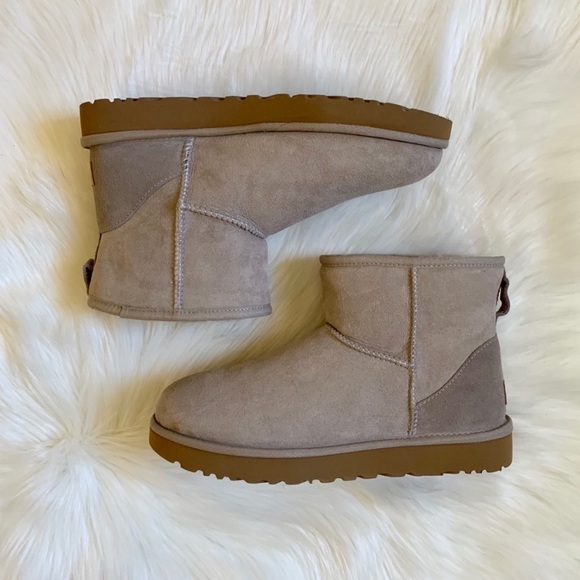 ugg oyster